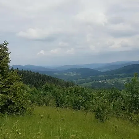 Mieszkanie W Gorach W Beskidzie Zywieckim Gmina Koszarawa 26 Km Od Zywca,20 Km Od Suchej Beskidzkiej