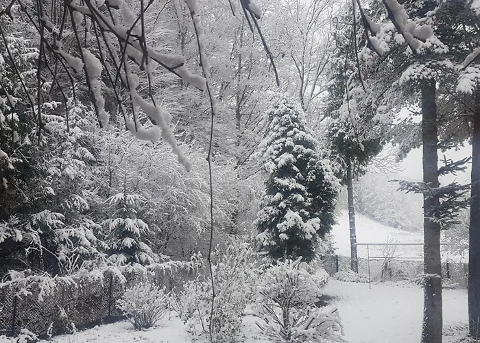 Mieszkanie W Gorach W Beskidzie Zywieckim Gmina Koszarawa 26 Km Od Zywca,20 Km Od Suchej Beskidzkiej
