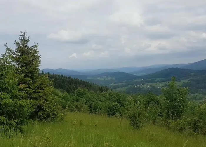 Mieszkanie W Gorach W Beskidzie Zywieckim Gmina Koszarawa 26 Km Od Zywca,20 Km Od Suchej Beskidzkiej